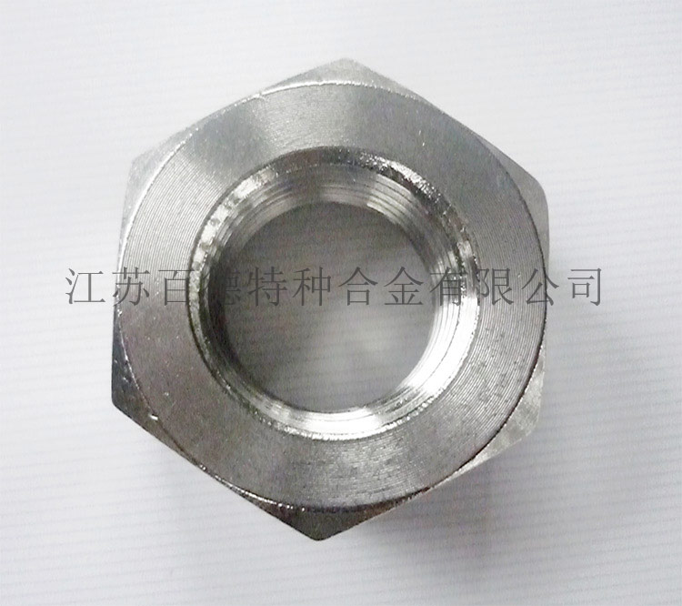 不鏽鋼316六角螺母 不鏽鋼316六角螺母